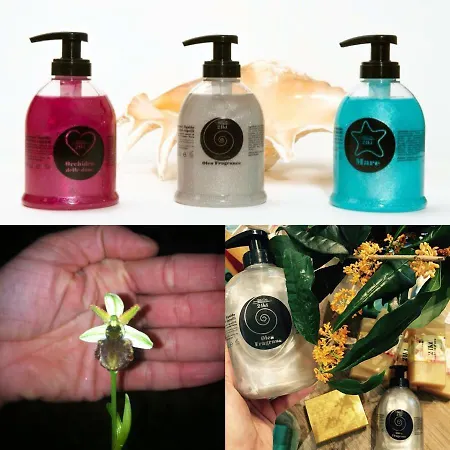 21 Artistic ליגננו סביאדורו